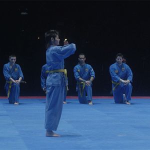 Bilder L'Oeil du tigre