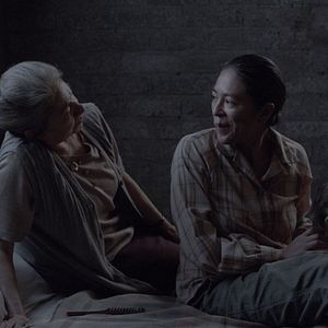 Bilder Tamara y la catarina