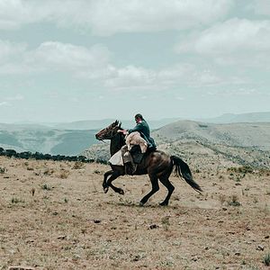 Bilder Sew the Winter to My Skin