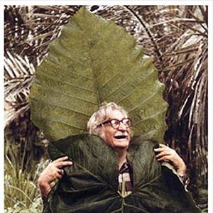 Bilder Filme Paisagem - Um Olhar Sobre Roberto Burle Marx