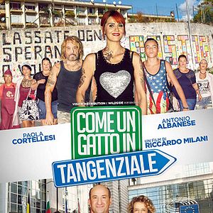 Bilder Come Un Gatto In Tangenziale