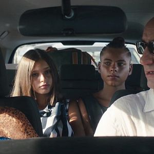 Bilder Come Un Gatto In Tangenziale