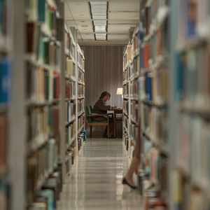 Bilder Can You Ever Forgive Me?