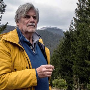 Bilder Der Dolmetscher