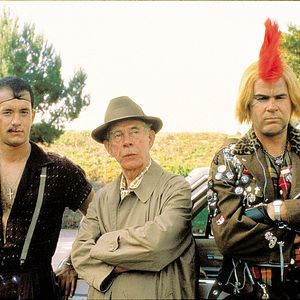 Bilder Schlappe Bullen beißen nicht