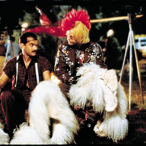 Bilder Schlappe Bullen beißen nicht