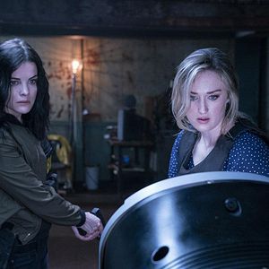 Bilder Jaimie Alexander