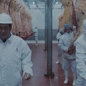 Bilder Guillermo Francella