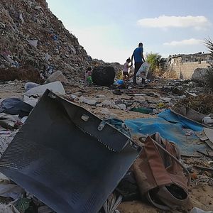 Bilder Lucha de gigantes