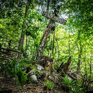 Bilder Friedhof der Kuscheltiere