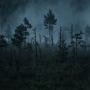 Bilder Unknown Soldier