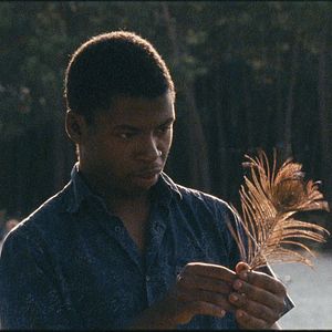 Bilder Sophia Antipolis