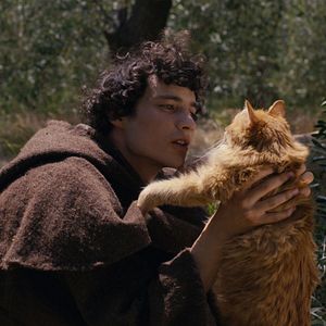 Bilder Un violent désir de bonheur