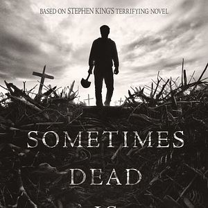 Bilder Friedhof der Kuscheltiere