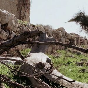 Bilder A Letter to a Friend in Gaza