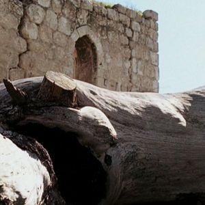 Bilder A Letter to a Friend in Gaza