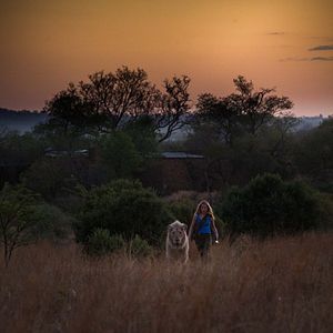 Bilder Mia und der weiße Löwe