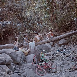 Bilder Too Late To Die Young