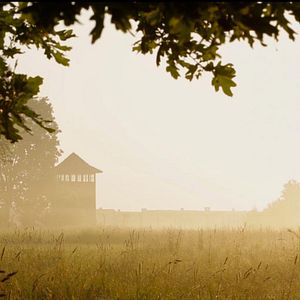 Bilder Hotel Auschwitz