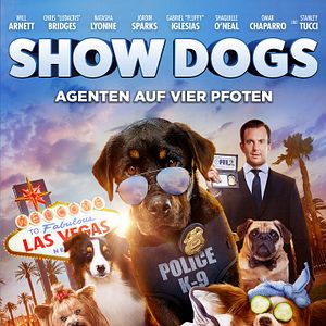Bilder Show Dogs