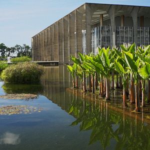 Bilder Filme Paisagem - Um Olhar Sobre Roberto Burle Marx