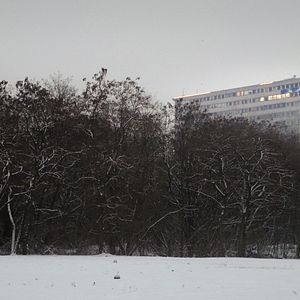 Bilder Berlin Excelsior