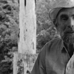 Bilder Frans Krajcberg: Manifesto