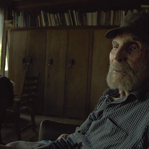 Bilder Frans Krajcberg: Manifesto