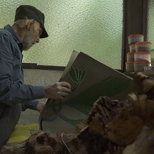 Bilder Frans Krajcberg: Manifesto