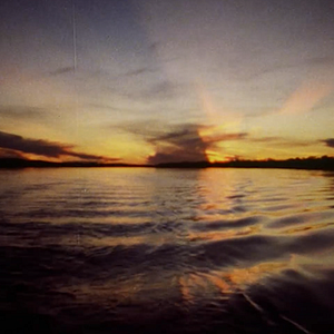 Bilder Frans Krajcberg: Manifesto