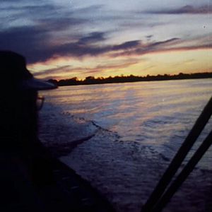 Bilder Frans Krajcberg: Manifesto