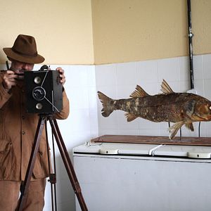 Bilder Rio da Dúvida