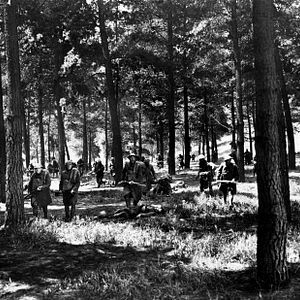 Bilder Die große Parade