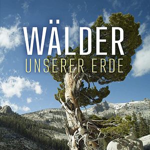 Bilder Wälder unserer Erde