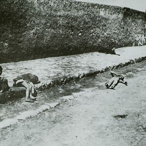 Bilder Die Austreibung des armenischen Volkes in die Wüste