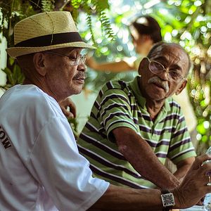 Bilder O Samba É Meu Dom