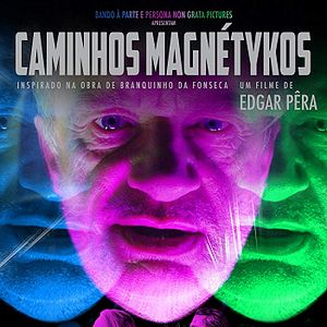 Bilder Magnetick Pathways