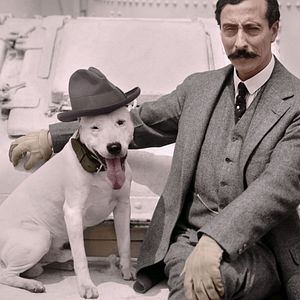 Bilder El amor y la muerte