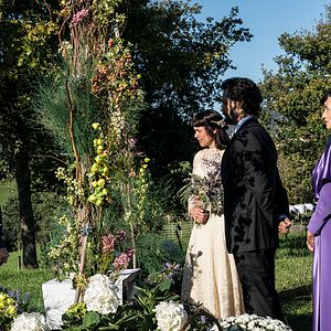 Bilder Der Baum des Blutes