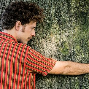 Bilder Der Baum des Blutes