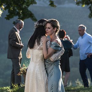 Bilder Der Baum des Blutes