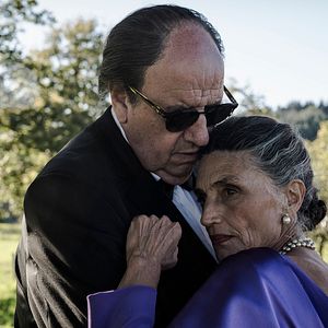 Bilder Der Baum des Blutes