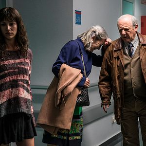 Bilder Der Baum des Blutes