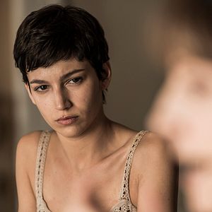 Bilder Der Baum des Blutes