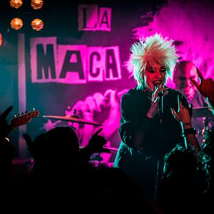 Bilder Der Baum des Blutes