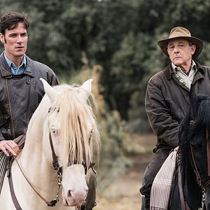 Bilder Der Baum des Blutes