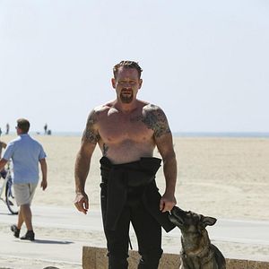 Bilder Max Martini