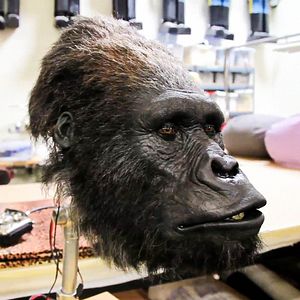 Bilder Creature Designers: The Frankenstein Complex