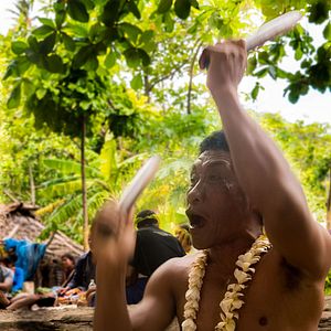 Bilder Nous, Tikopia