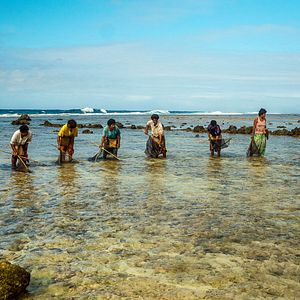 Bilder Nous, Tikopia